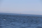 resIMG_20170708_162236_8018.JPG